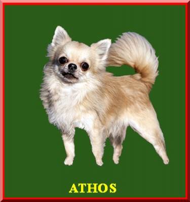 Athos Des pyramides de cholula