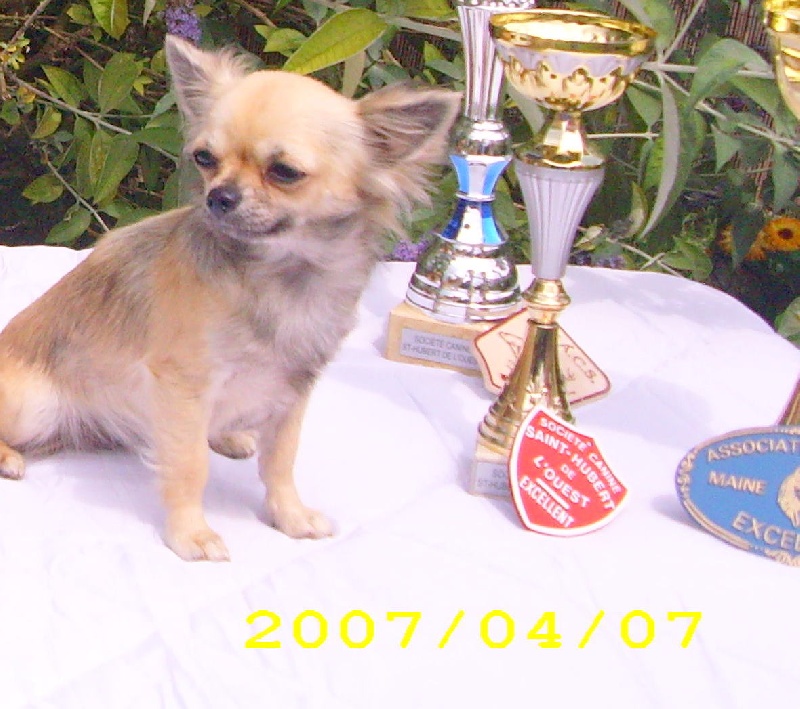 Des muses du haut forez Debby