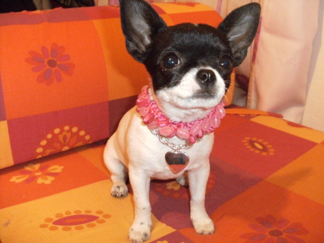 Fantomette Des muses du haut forez