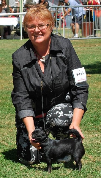 Ginger all black Des muses du haut forez
