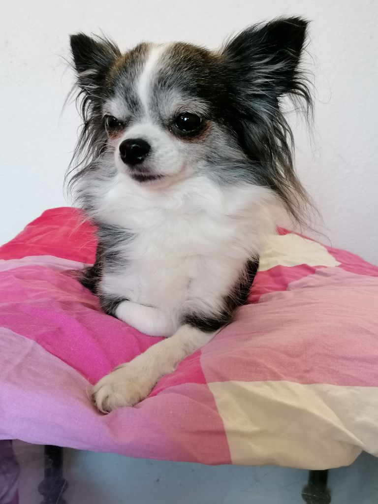 Juanita Des muses du haut forez