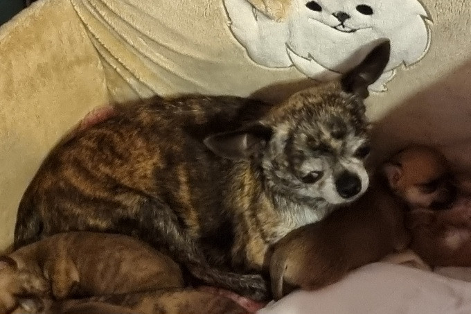 Sensation Des muses du haut forez